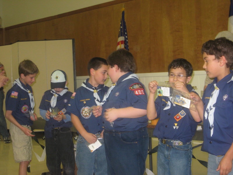 2010-Pack409-Blue-n-Gold - 177.jpg